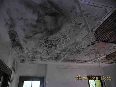 13311 Lauder (17)_m.jpg